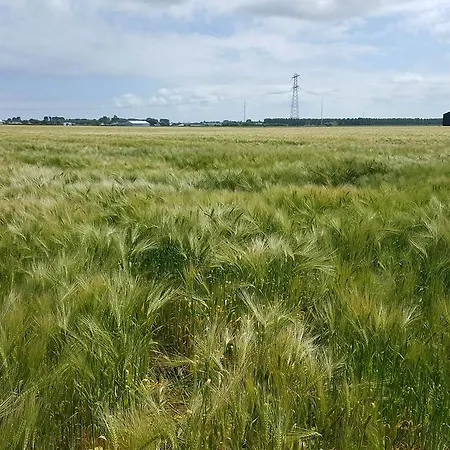 Lejlighed De Flevohoeve