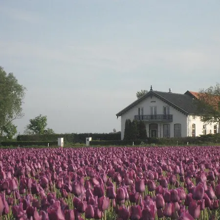 De Flevohoeve *