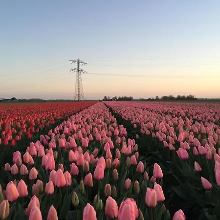 De Flevohoeve * Oudesluis (North Holland)